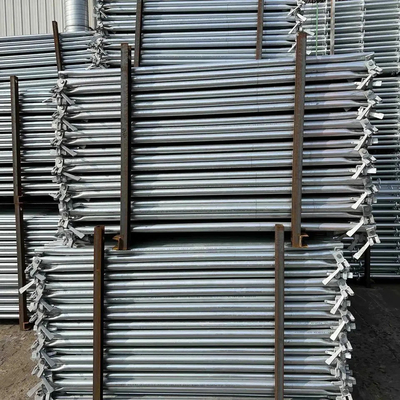 Professional Construction Ringlock System Vertical Standard Scaffolding Accessories